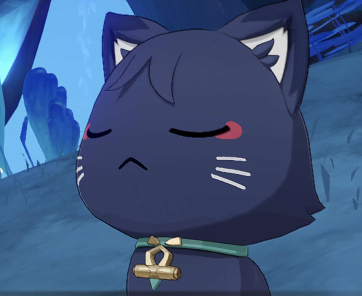 KerjoWanderer's tweet photo. Hmph. Meow. https://t.co/bdwMVs4Pxh