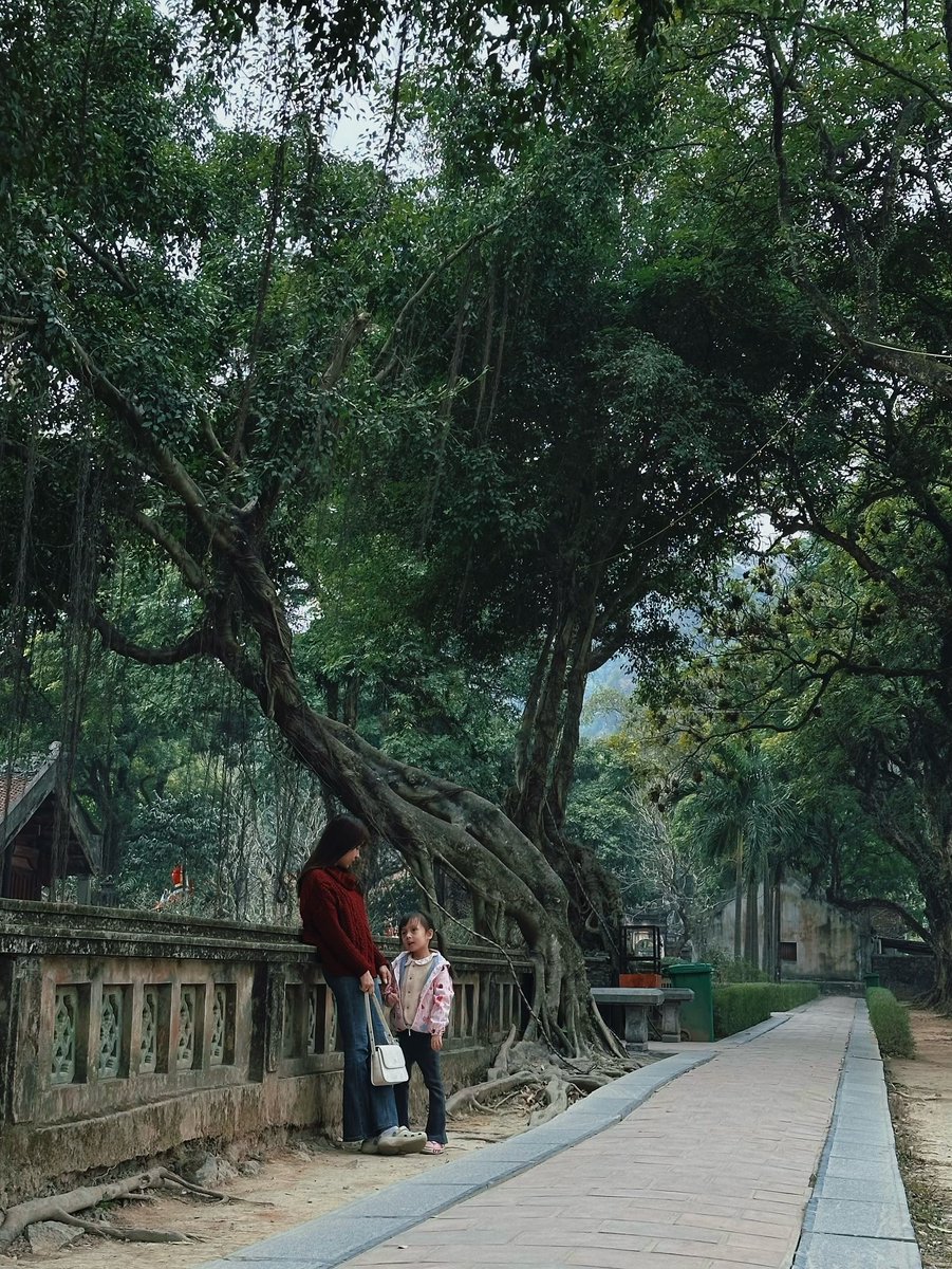 tdb_lima's tweet photo. Nụ cười thảnh thơi, bình yên giữa Ninh Bình. https://t.co/EuKgKME2i7