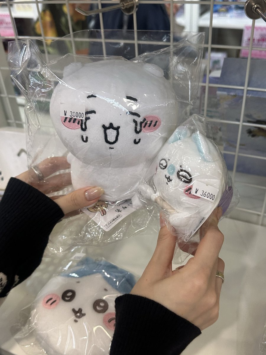 eun1284002's tweet photo. 국전 치이카와 토벌 후기
있는게 없음.. 있으면 다 비쌈 ㄱ- https://t.co/OhcAytdEZh