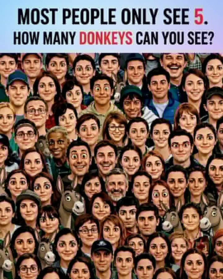 Victoria226698's tweet photo. Eye test   👀 How many donkeys https://t.co/3dMTi7SRD1