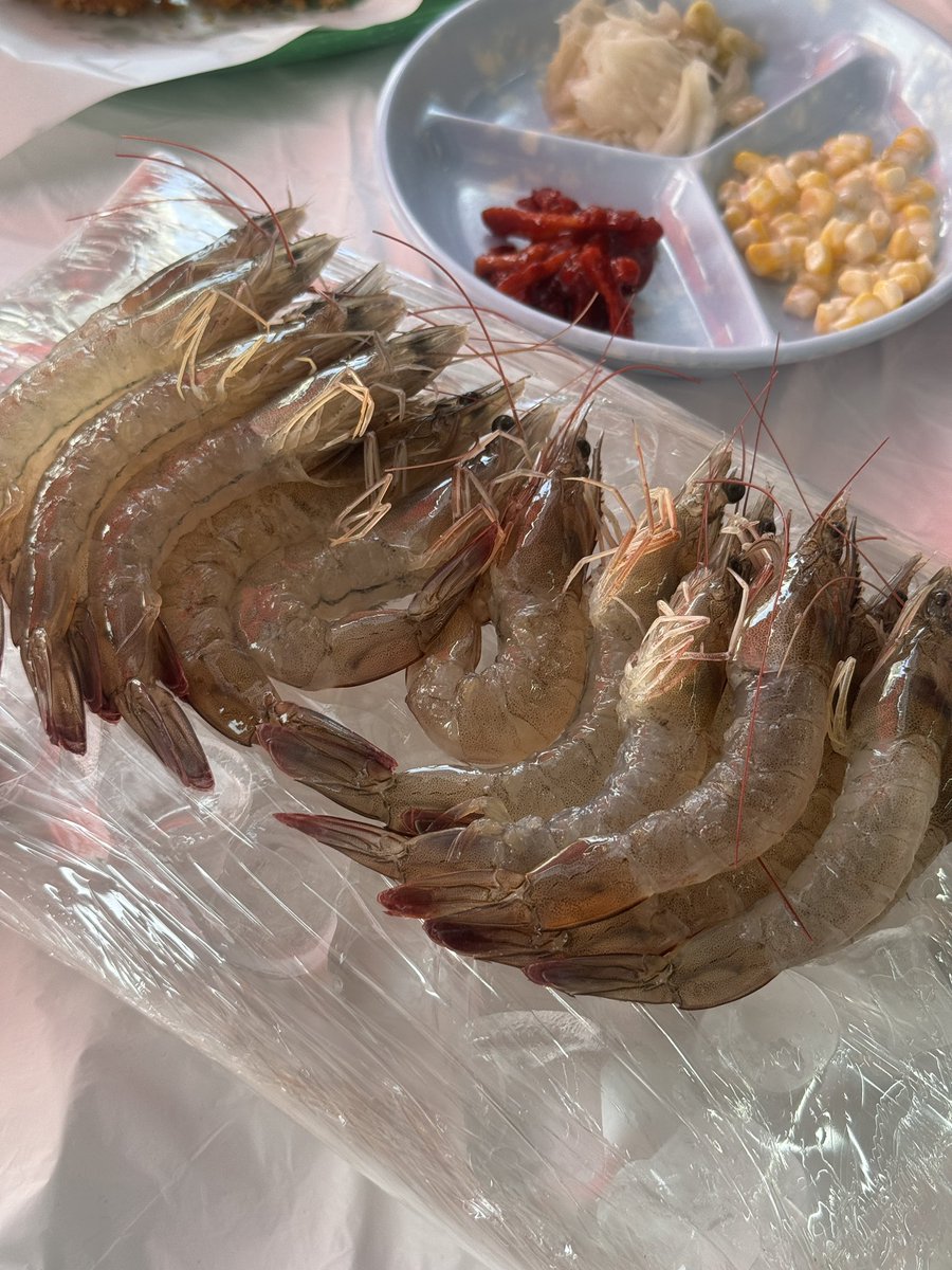 zhdwnsla's tweet photo. 생새우하트대하구이하트나◠ ◠ 🦐♡ https://t.co/clIy41DF5M
