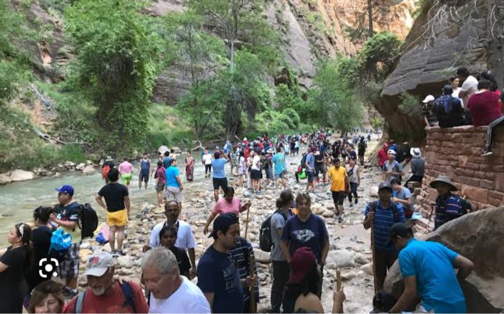 SIGSauer951's tweet photo. @catturd2 I feel the same way about hiking. That's why I don't go to Zion NP. https://t.co/6CREOCwUpM