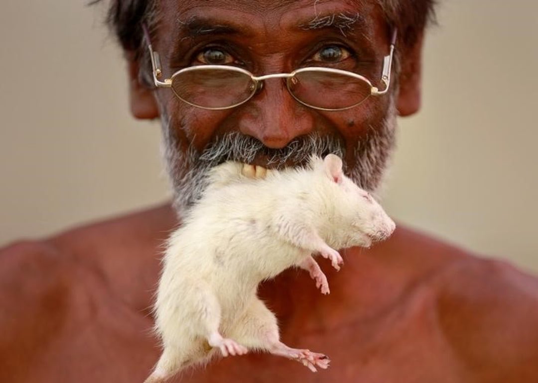 existensisrandm's tweet photo. @lokesh233151552 Ok kannadiga https://t.co/OyZYBoix6N