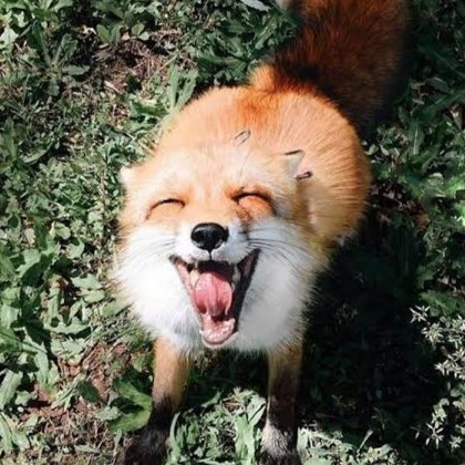 Nexus_next_VT's tweet photo. @Bonnie_Shizuki NN sei como fui parar ali, mas estou feliz! 🐺🦊✨ https://t.co/I5zRz3fmpY
