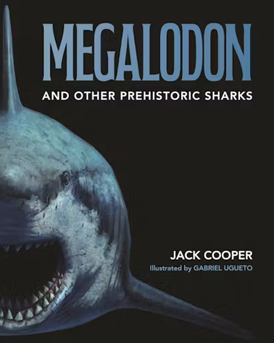 SerpenIllus's tweet photo. If you are interested in Megalodon and all other prehistoric sharks (and let’s face it, who isn’t?) there is a new book coming Feb 9th that you have to get! I was lucky enough to be commissioned to illustrate this amazing book wonderfully written by Dr. Jack Cooper! https://t.co/GD0oDQlQc6