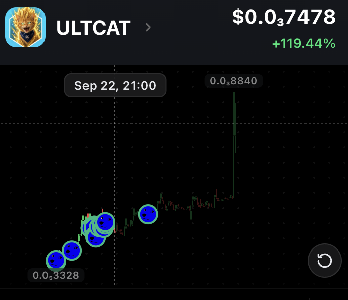 ellisthemenis's tweet photo. Nothing but pure conviction and bagworking by the community im still holding all my bags 

#CRO #CROFAM #ULTCAT https://t.co/TAP7jDA9sm