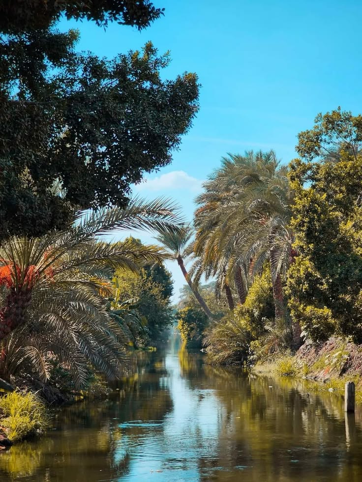 Aamirelho's tweet photo. 🌧️ بعد المطر، تبدو الأرض وكأنها وُلدت من جديد؛ رائحة التراب، قطرات الماء على الأوراق، والسماء الصافية تمنح المكان سحرًا خاصًا. 🌱💧☁️ https://t.co/IuPisnZOk1
