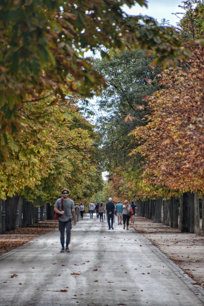 ManuelRevilla57's tweet photo. #ElRetiro en octubre de 2025 ...
#Madrid #Otoño https://t.co/GcNcH8u42e