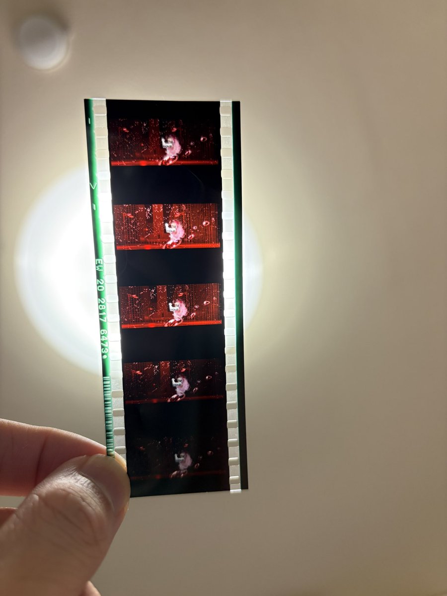 ururu242's tweet photo. まどマギの特典フィルム、昨日は暗すぎてよく分からなかったけど光に当てたら少しわかった
魔獣に追われるシーンか？白いのはドクロに見えるような
何にせよ大外れすぎる https://t.co/Xx1Hd7amBF
