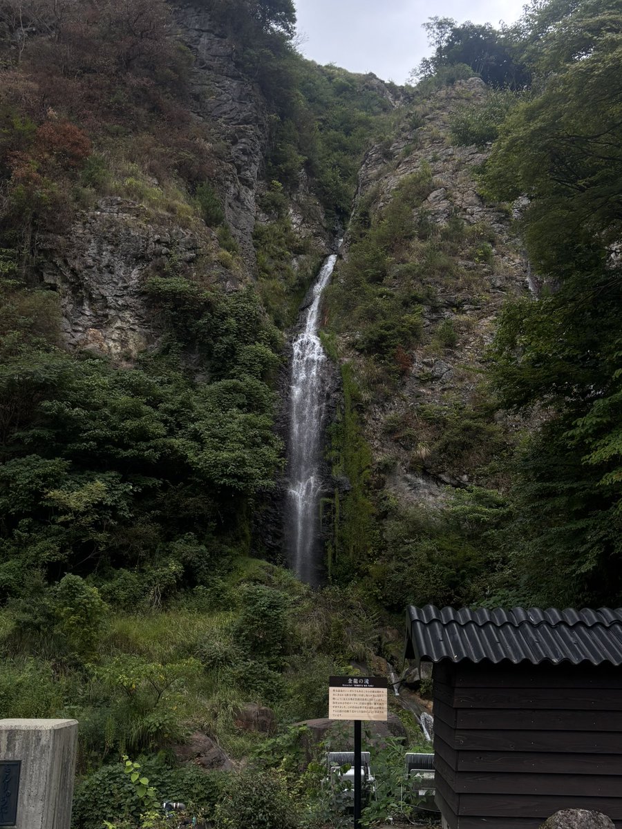 chi__ha0819's tweet photo. 阿蘇 https://t.co/0yyzjyEhUx