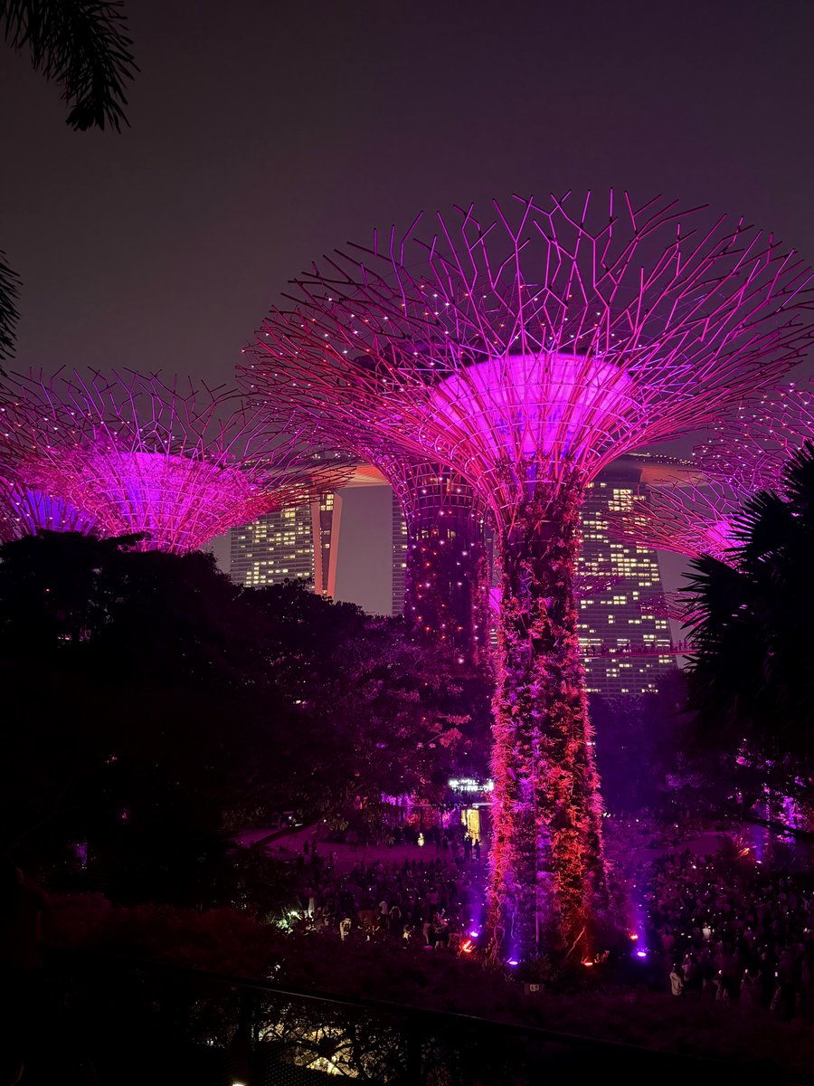 CalebSol's tweet photo. Singapore for Token2049 🇸🇬 https://t.co/crqLba7bEI