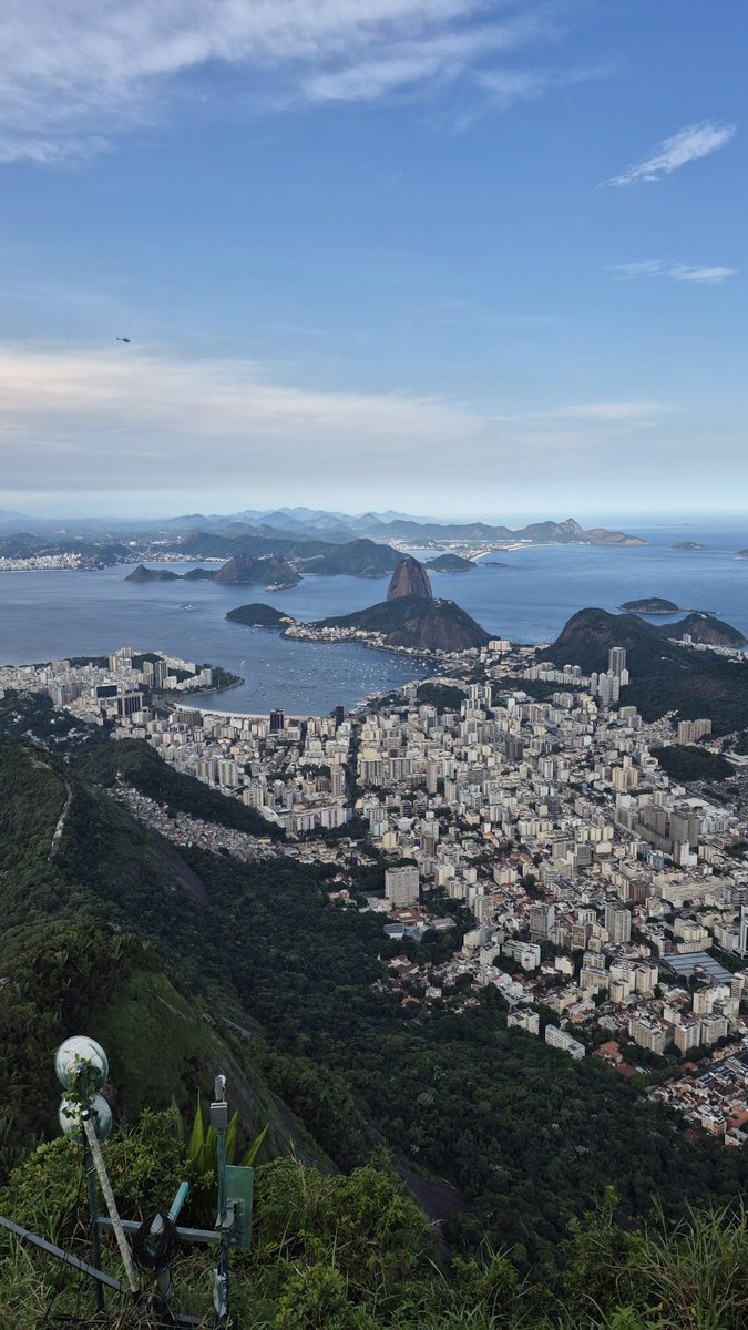 sarahjbr_'s tweet photo. DOOO BRAZIL 🇧🇷 https://t.co/hvq1opeqp7