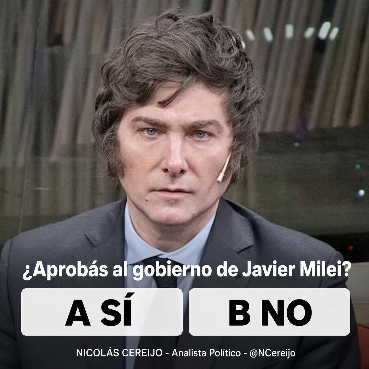 NCereijo's tweet photo. ¿Aprobás al gobierno de Javier Milei ?  

A SÍ 
B NO