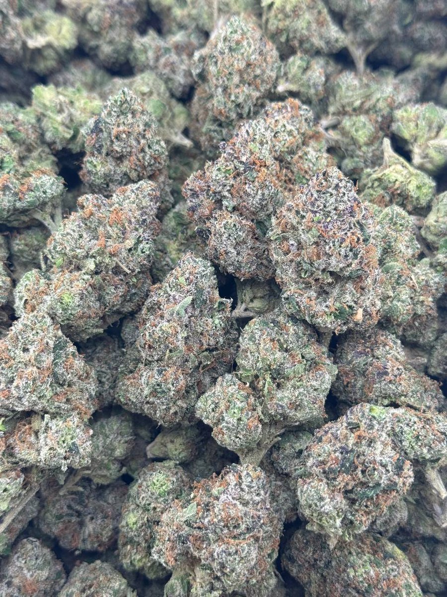 the420disp's tweet photo. #3229 London Gumbo 
Licensed candy indoor 

🚢 1200
Intown 1100 https://t.co/6xTAN5f0aV