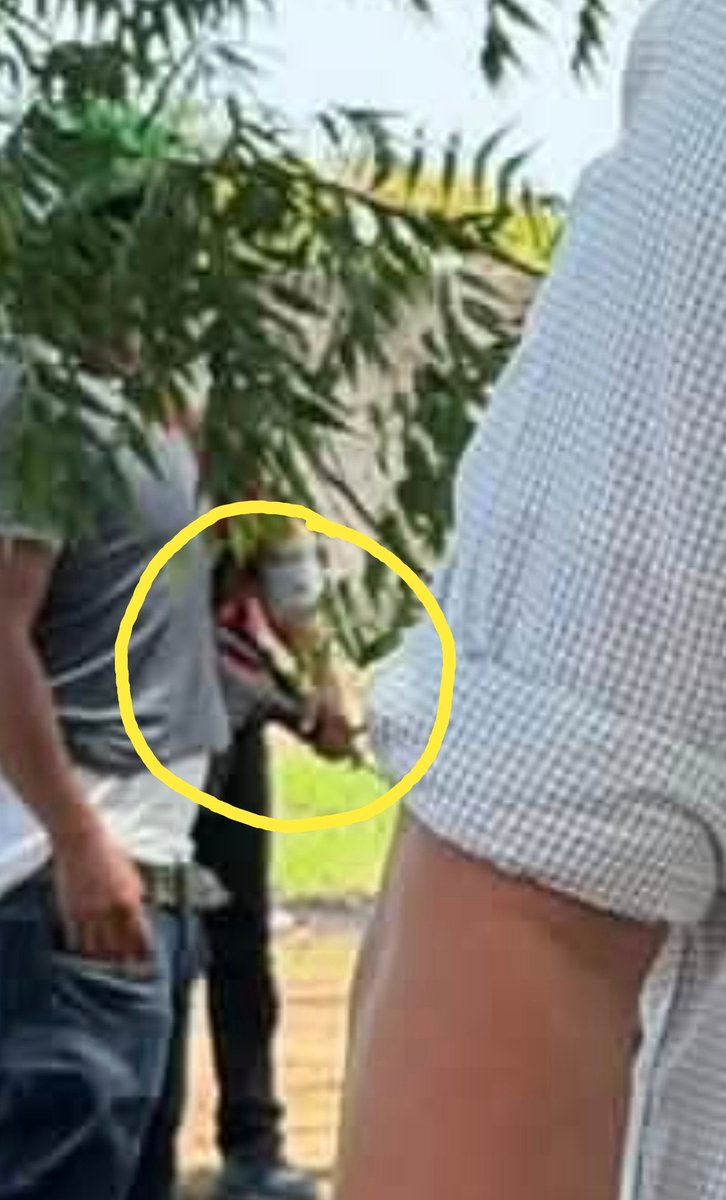 LagarrapataS22's tweet photo. La impunidad armada de Antonino Morales Toledo. 

El uso de civiles armados con fusiles de asalto AK-47 para el resguardo personal del senador Antonino Morales Toledo, representante del Pacto Federal rebasa los niveles de cinismo, no es normal que se desplace rodeado de armamento de uso exclusivo de las Fuerzas Armadas, este hecho es la exhibición más clara que opera al margen de la ley.
El intento burdo de su equipo por borrar digitalmente a los escoltas en las fotografías que han circulado en redes evidenciando los excesos  de poder no elimina el delito.
Los vínculos políticos que lo unen al grupo de Emilio Montero Pérez añaden una gravedad insoslayable a las acusaciones sobre huachicol y delincuencia organizada que pesan en su contra. El Poder Legislativo no puede servir como blindaje para obtener impunidad ni como escaparate al estilo del crimen organizado. 
No es la primera vez el senador es captado resguardado con personajes que portan armas AK-47 sin que La Fiscalía General de la República y la SEDENA respondieran. 
Vale la pena cuestionar ¿quién autorizó ese armamento en las calles ?, ¿quiénes son los hombres que lo portan? De lo contrario, la omisión del Estado confirmará que para la clase política en el poder, la ley sirve de escudo protector.