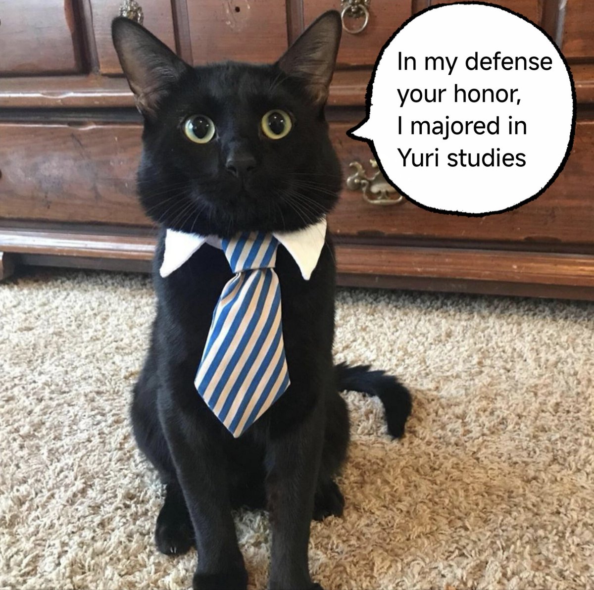 p3dagogy's tweet photo. https://t.co/JL47cTfcuO