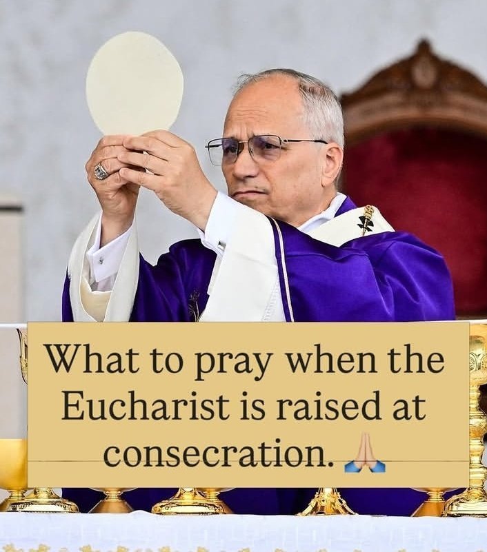 JustAdaugoijele's tweet photo. What to Pray When the Eucharist is Raised at Consecration

 At every Mass, there is a sacred moment when time seems to stand still.  The priest raises the consecrated Host high above the altar and says,
“This is My Body.”
In that instant, Heaven touches earth. Jesus is truly present, Body, Blood, Soul, and Divinity, right before our eyes.

 It’s not just a ritual. It’s a moment of deep adoration.
So what should we pray in that holy silence?
Here are a few powerful prayers you can say silently in your heart as the Host is elevated:

. “My Lord and my God!”
These are the words of St. Thomas the Apostle when he saw the risen Christ. A perfect act of faith in Jesus’ Real Presence in the Eucharist.

. “Jesus, I love You. I adore You. I believe in You. I trust in You.”
Simple, heartfelt, and so pleasing to the Sacred Heart of Jesus.

. “O Sacrament most holy, O Sacrament divine, all praise and all thanksgiving be every moment Thine.”

. “Lord, have mercy on me, a sinner.”
Said with true humility before the One who can forgive everything.

. “Jesus, I adore You with the Heart of Mary.”
Uniting our poor love with Our Lady’s perfect love.

. Whisper your own private intentions 

The Elevation is the high point of the Holy Mass. Don’t let it pass by in distraction.  Let your heart rise with the Host. Look at Jesus and adore Him. This is the moment He gives Himself completely to us, let us give ourselves completely to Him.
Next time you’re at Mass, be ready. When the priest lifts up Our Lord, let your soul whisper its love.

Most Sacred Heart of Jesus,
I trust in You♥️ .