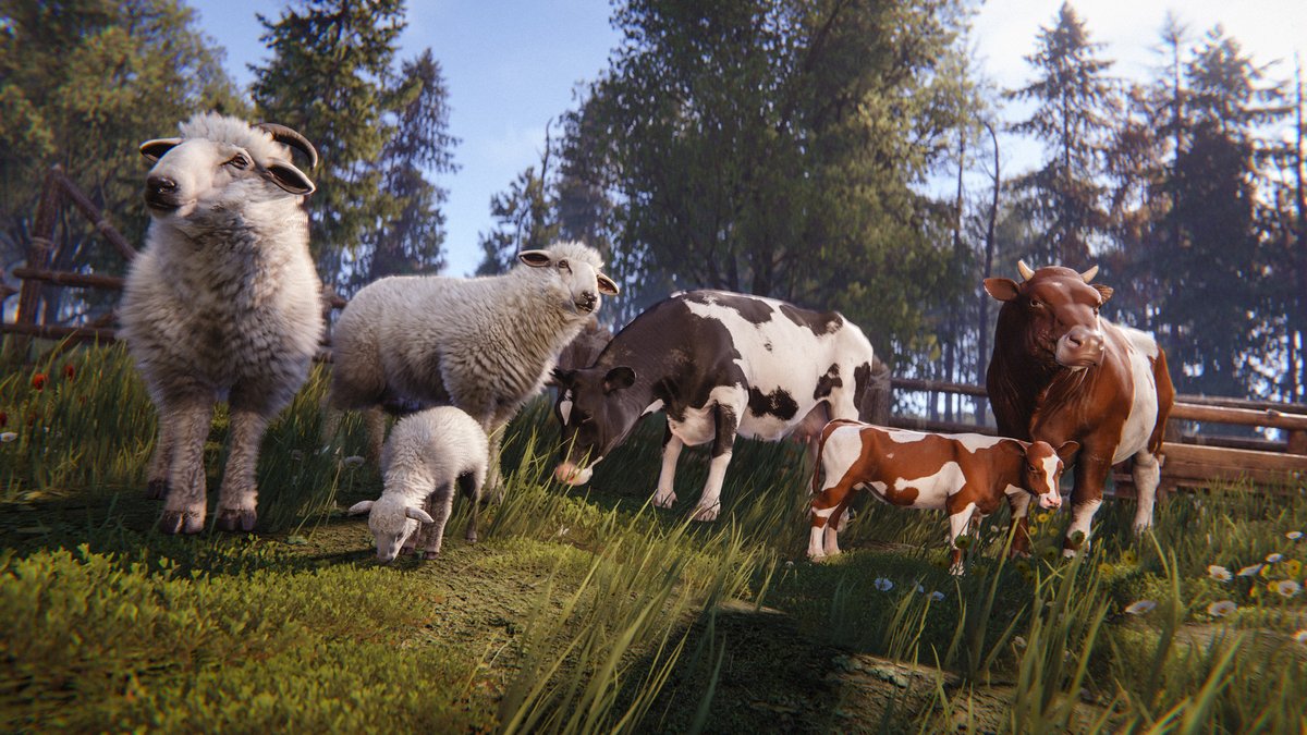 playrust's tweet photo. In this patch, we are introducing cows and sheep. 🐄☢️🐑

Both produce dung, cows produce milk, and sheep produce wool.
They can also be harvested for meat, bones and leather like any other animal.

Additionally, you can sell a grown animal to an NPC in the ranch.

Read more on our DevBlog: https://t.co/K2mKUqqP4B