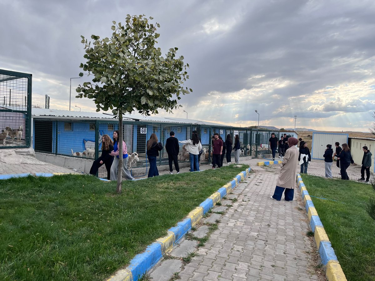 nevsehirsimya's tweet photo. 🐾 Sevgi Paylaştıkça Çoğalır! 🐾

Nevşehir Simya Koleji olarak 4 Ekim Hayvanları Koruma Günü kapsamında öğrencilerimizle birlikte Kapadokya İl Özel İdare ve Belediyeler Birliği Başkanlığına bağlı hayvan barınağını ziyaret ettik. 🐶🐱💚 https://t.co/sHTTJwl6OM