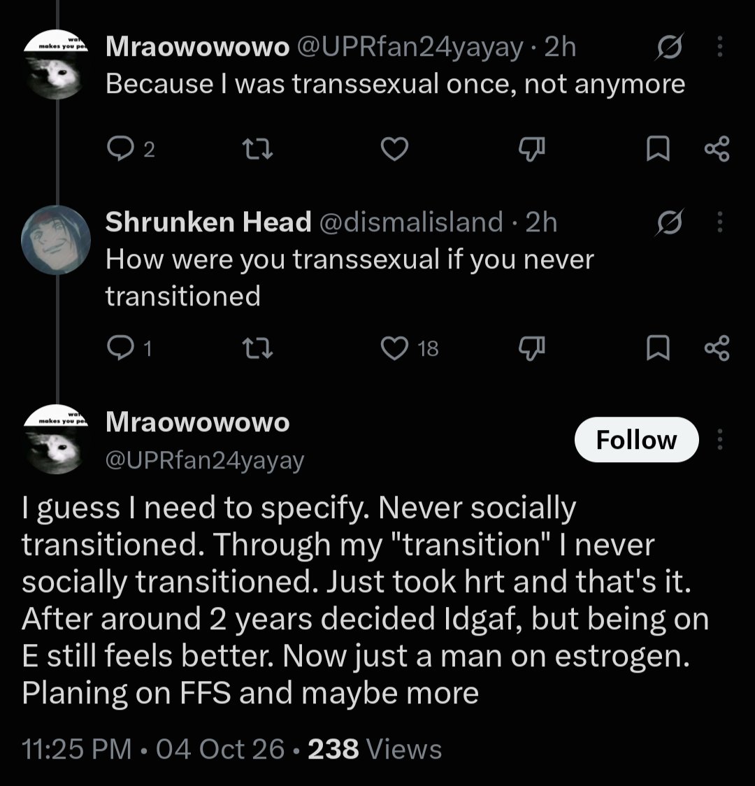 FailKittyCat tweet picture