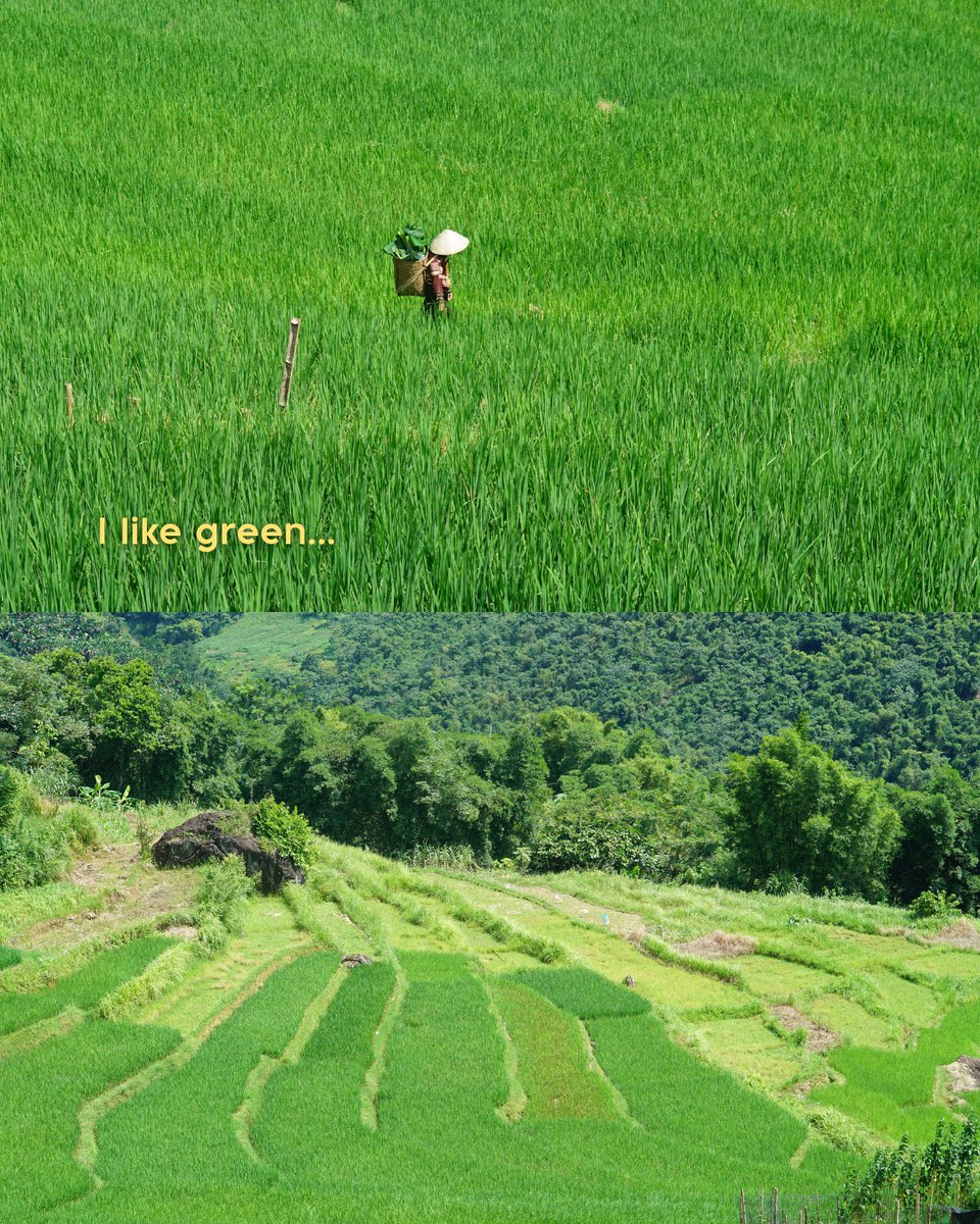 Jessly_xo's tweet photo. Colors of Pu Luong: lush landscapes, blooming gardens, and peaceful moments in nature. https://t.co/Hk7392rVJ5