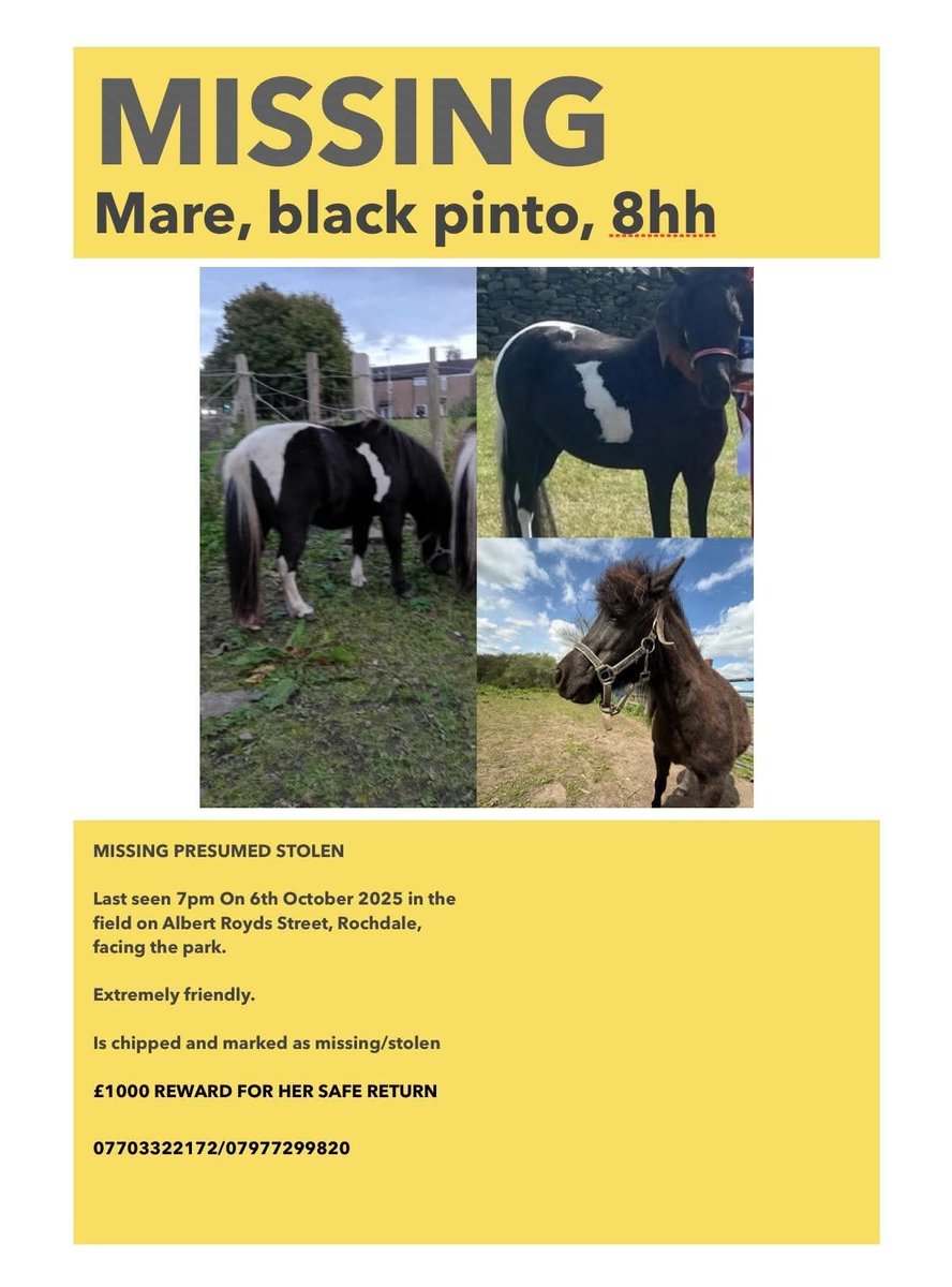 MissingPetsGB's tweet photo. PLEASE SHARE! 

DORI IS MISSING A YEAR TODAY😭

💔 £1,000 REWARD FOR DORY’S SAFE RETURN

Beloved miniature pony DORY was stolen from her field in #Rochdale, #OL16 on 6 October 2025

⚠️ SHE IS STILL MISSING. PLEASE DON’T STOP SHARING.

Dory is very small &amp; is dearly loved https://t.co/2wxD7D0JuK