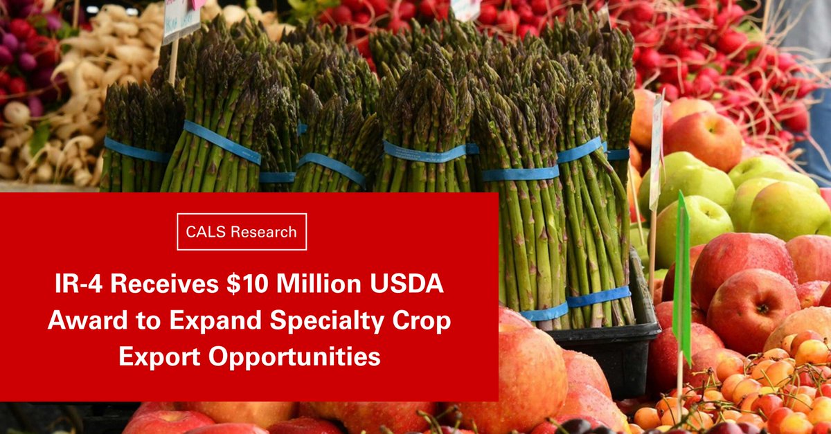 NCStateCALS's tweet photo. NC State's IR-4 Project has received a $10 million, five-year award from the U.S. Department of Agriculture Foreign Agricultural Service to help U.S. specialty crop growers overcome pesticide residue-related barriers to international trade.

Learn more: https://t.co/5ovrbkM4DF https://t.co/u8KrE5lBmJ
