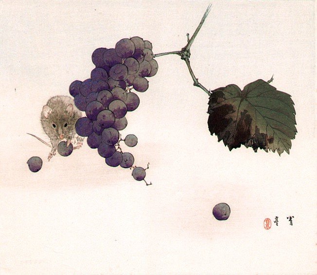JapanTraCul tweet picture