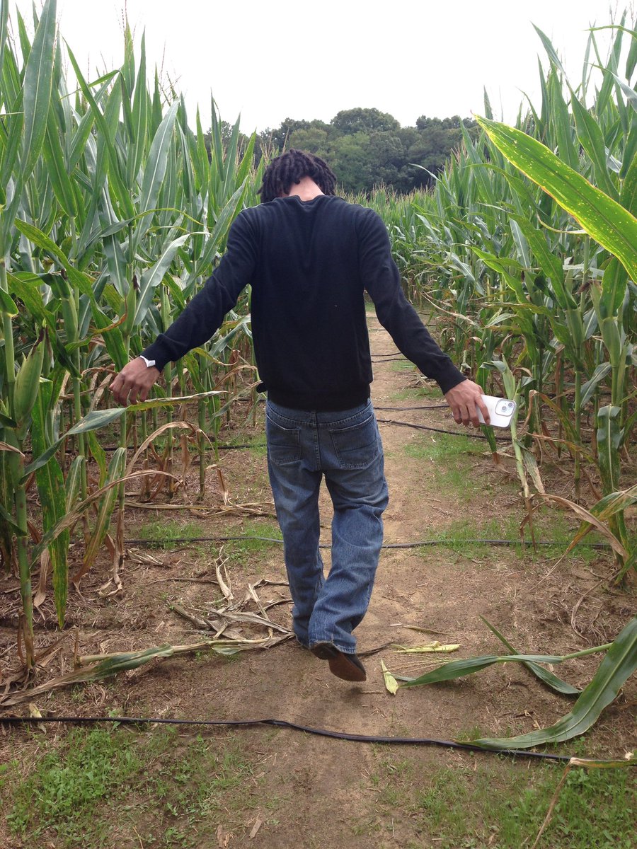 restinillumnti's tweet photo. maze. https://t.co/pSGWcmdBBW