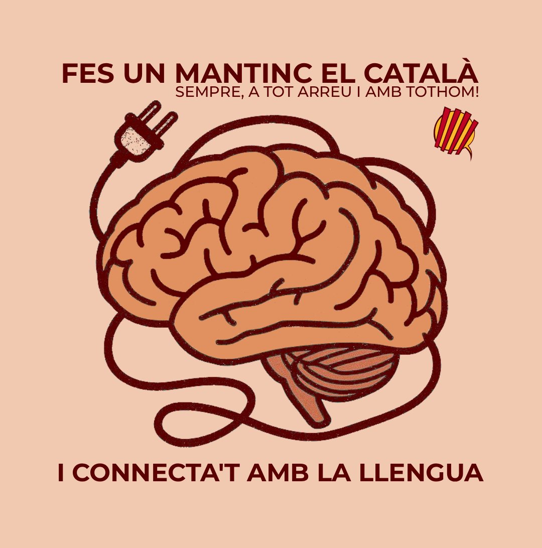 mantincelcatala's tweet photo. Connecta ment i llengua. https://t.co/EBk6DBlqB8