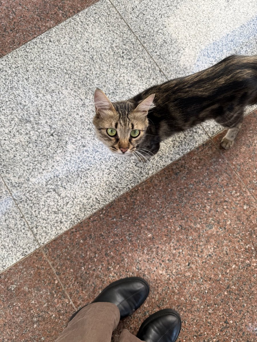 Cat67837515's tweet photo. https://t.co/g8vO3Mvx9D