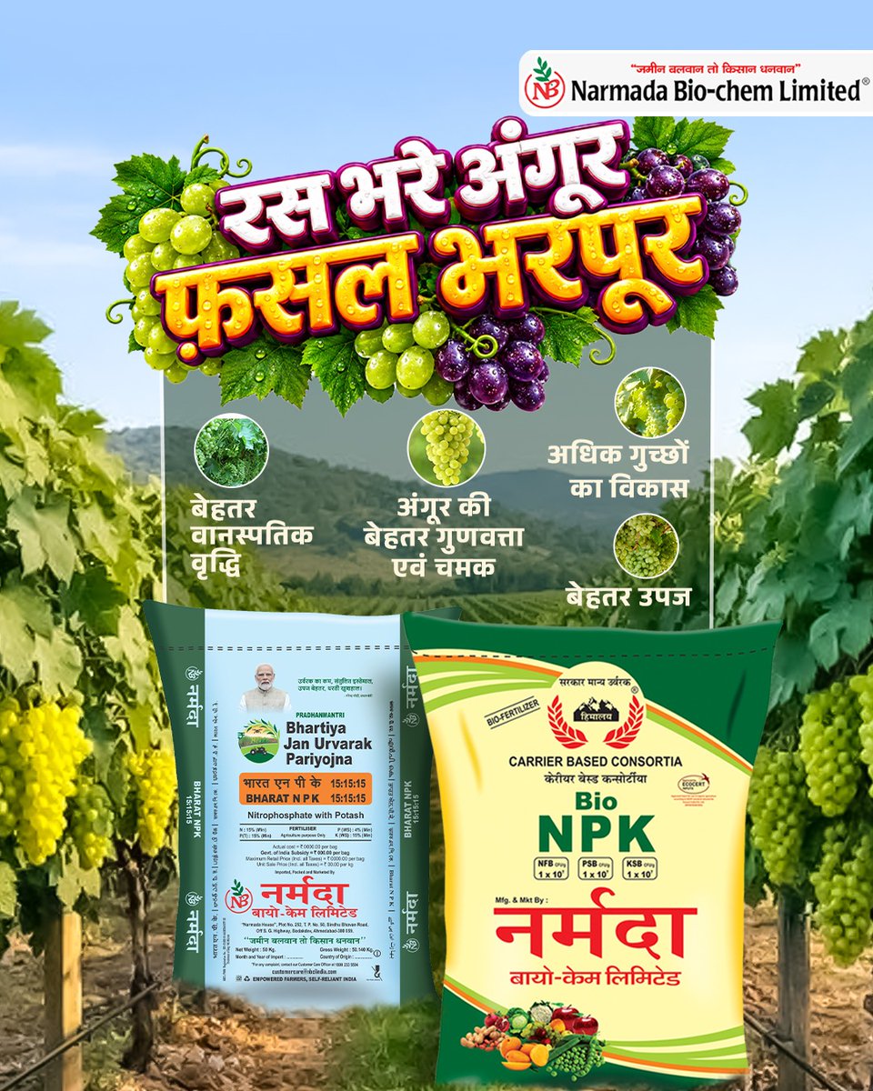 nbclindia's tweet photo. रस भरे अंगूर, भरपूर उत्पादन।

अंगूर की बेहतर वानस्पतिक वृद्धि, गुच्छों का विकास, बेहतर गुणवत्ता, चमक और बेहतर उपज के लिए फसल को दें संतुलित पोषण का सही साथ।

नर्मदा बायो केम लिमिटेड
जमीन बलवान तो किसान धनवान
#Grape #GrapeFarming #NarmadaBiochem #Agriculture #Fertilizer https://t.co/Qx5cCN9RbM