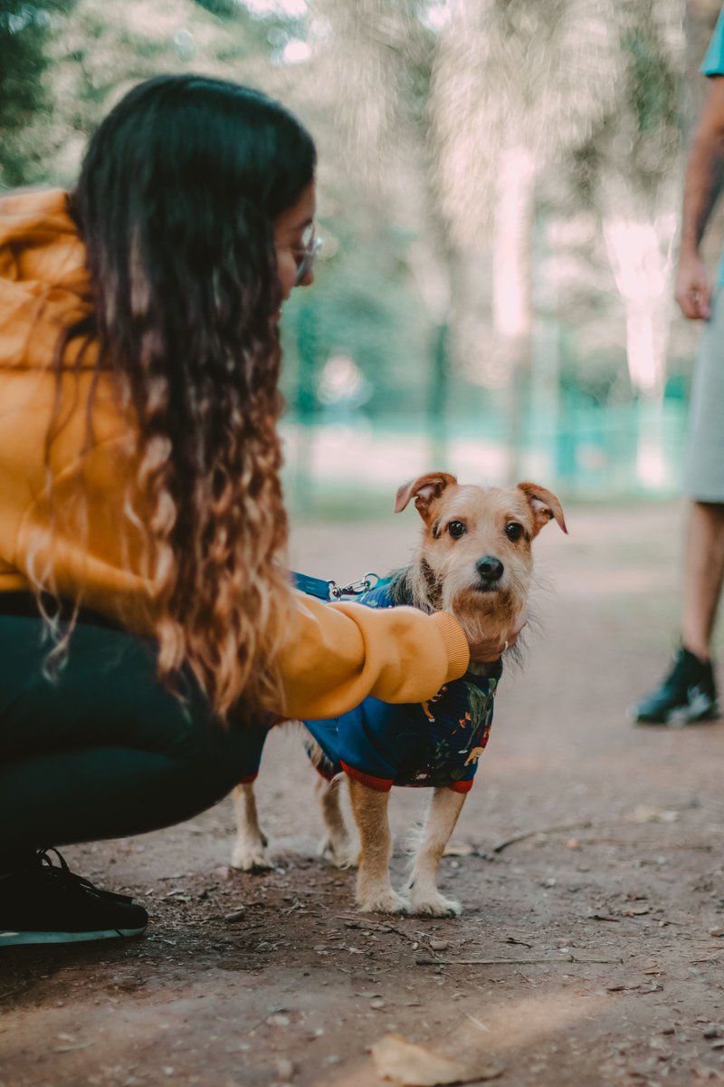 dogperroco's tweet photo. Adventure is better with your best friend by your side. Keep your pup comfortable, happy, and ready for every walk, playtime, and outdoor adventure.

Shop dog supplies at https://t.co/J0CwYVVSou

#DogPerro #DogLovers #DogLife #DogSupplies #DogAdventure #PetParents #HappyDogs https://t.co/xCK2wfV6Ig