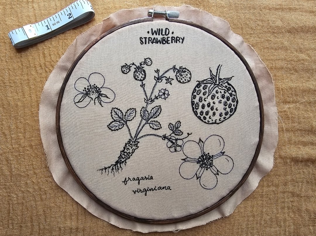 sadiedearing's tweet photo. hi beauties~

my name is sadie and I'm an embroidery artist, mermaid, and mother of gremlins. you can find my work on my website and support me on patreon 🫶🏻 https://t.co/qROw49JZzf