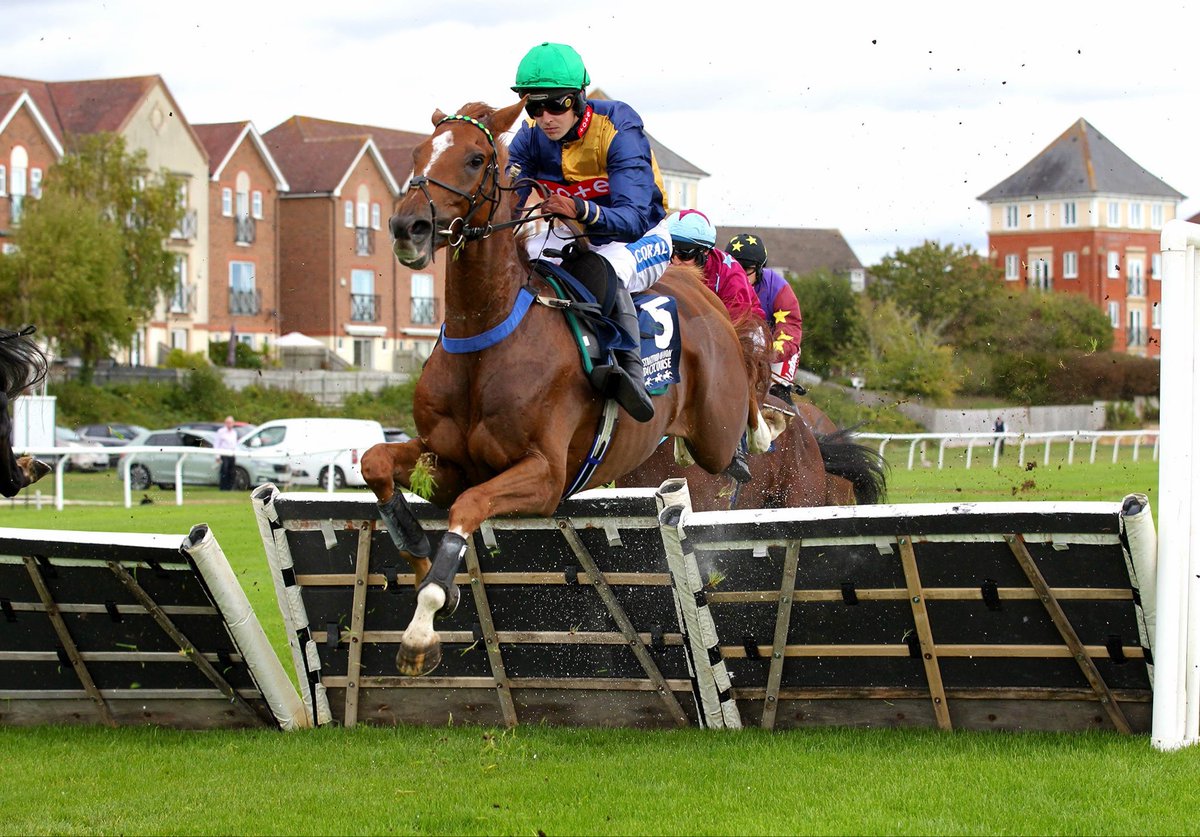 weatherbysltd's tweet photo. Red Metal under @brendanp1995 ran on strongly on his hurdling debut to land the Paul Ferguson’s Jumpers To Follow Novices’ Hurdle @stratfordraces this afternoon.

Well done to Brendan and also Henrietta Knight @bpowell13 and many congratulations to the winning owner Philip Leo Moore who was on hand to celebrate the success!

Thanks to Steve Davies for the great 📸