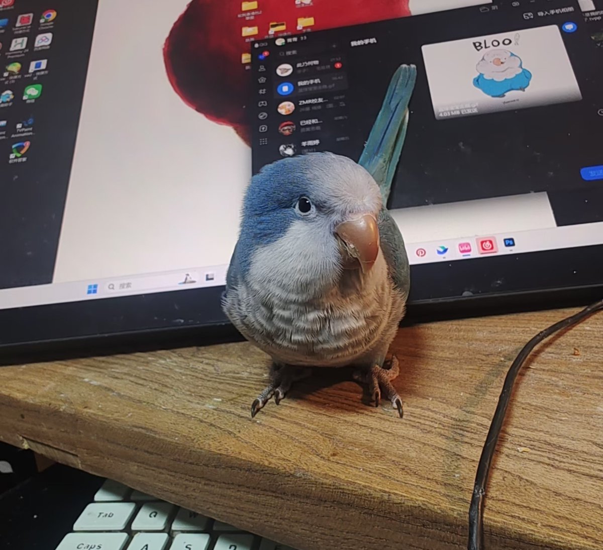 yoginnnnnn's tweet photo. hello baby Bloo🫐 https://t.co/L99VY1zEUI