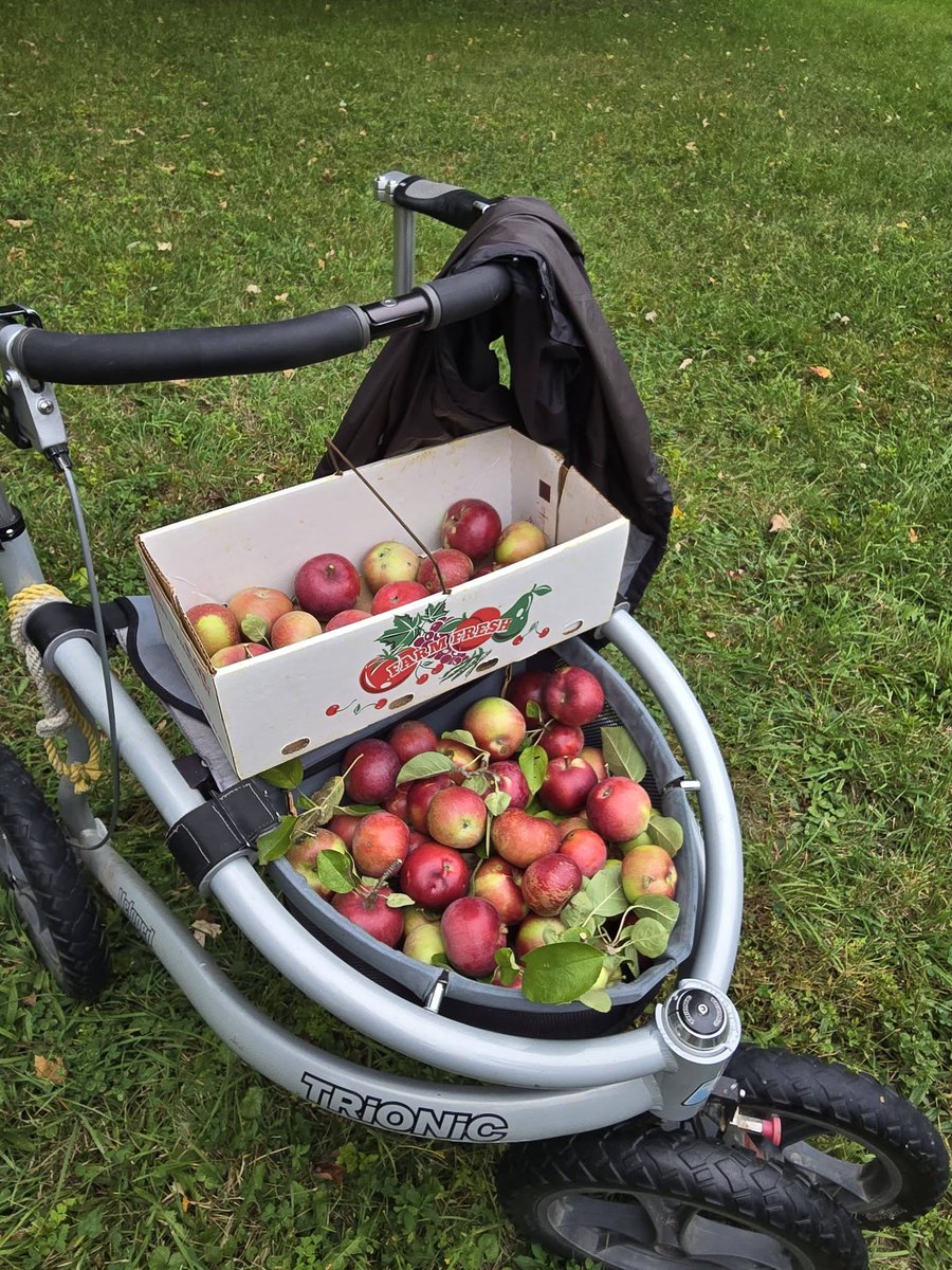 Trionic_Veloped's tweet photo. Happy Monday!
#trionic #walker #rollator #outdoor #adventure #giftidea #disability #accessibility
$BTC #parkinsons #exploring #camping #hikking #fishing #hunting #trails #Mondaythought #health #MondayMotivation #MondayMood #walkingaid #MondayVibe #dogs #BreakingNews #DogLovers https://t.co/0T9M4ts0yf