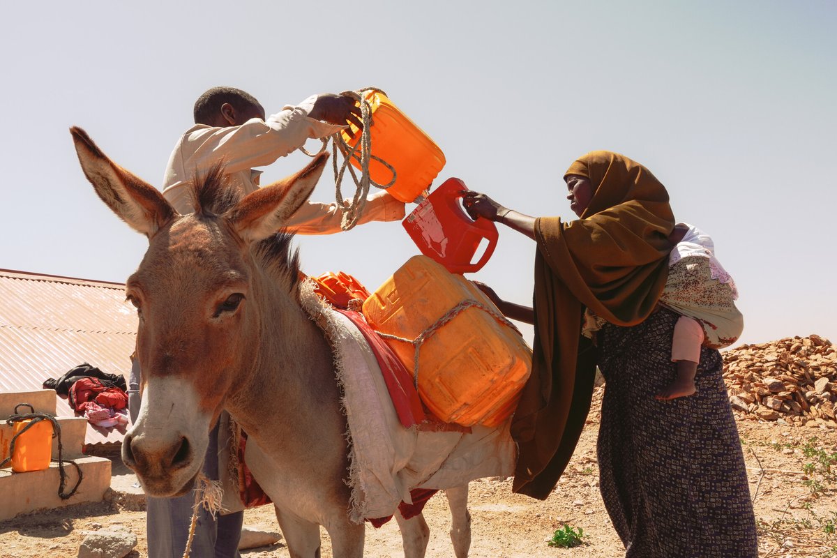 Concern's tweet photo. Listen out for reports from Somaliland, due to be broadcast by nine independent Irish radio stations this week.  

Their reporter Lynsey Dolan is travelling with us to visit communities impacted by #climatechange and hear how work supported by @irish_aid is helping families adapt.
⤵️ 
https://t.co/t80Cz7wIFW
@IBIreland
