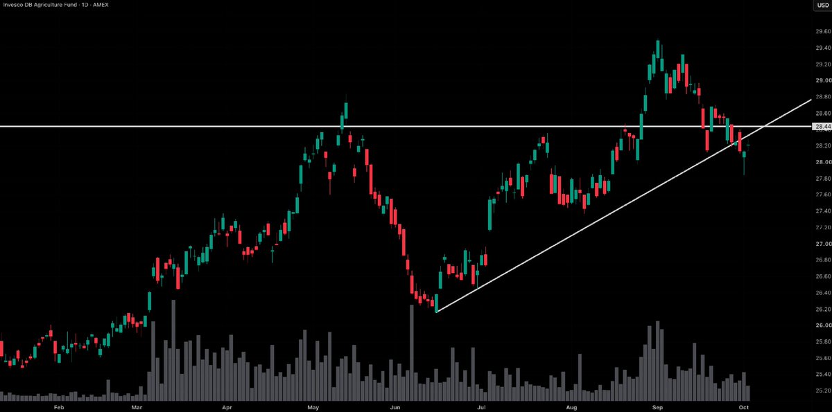 SeanOnTheTape's tweet photo. DBA remains weak below 28.44 and its rising trendline. Crop supply is offsetting part of the energy shock. The September 30 USDA report showed corn stocks up 35% from a year earlier, while soybean and wheat stocks were lower. Weather pressure on sugar adds to that divergence. My concern about delayed food-cost inflation remains. For now, the futures basket is being held back by ample supply in some crops. Reclaiming 28.44 would put another leg higher back in play.