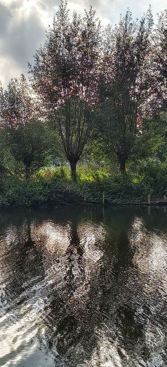 DittrichBoris's tweet photo. Impressionisme in de natuur https://t.co/2MJsiAV4mt