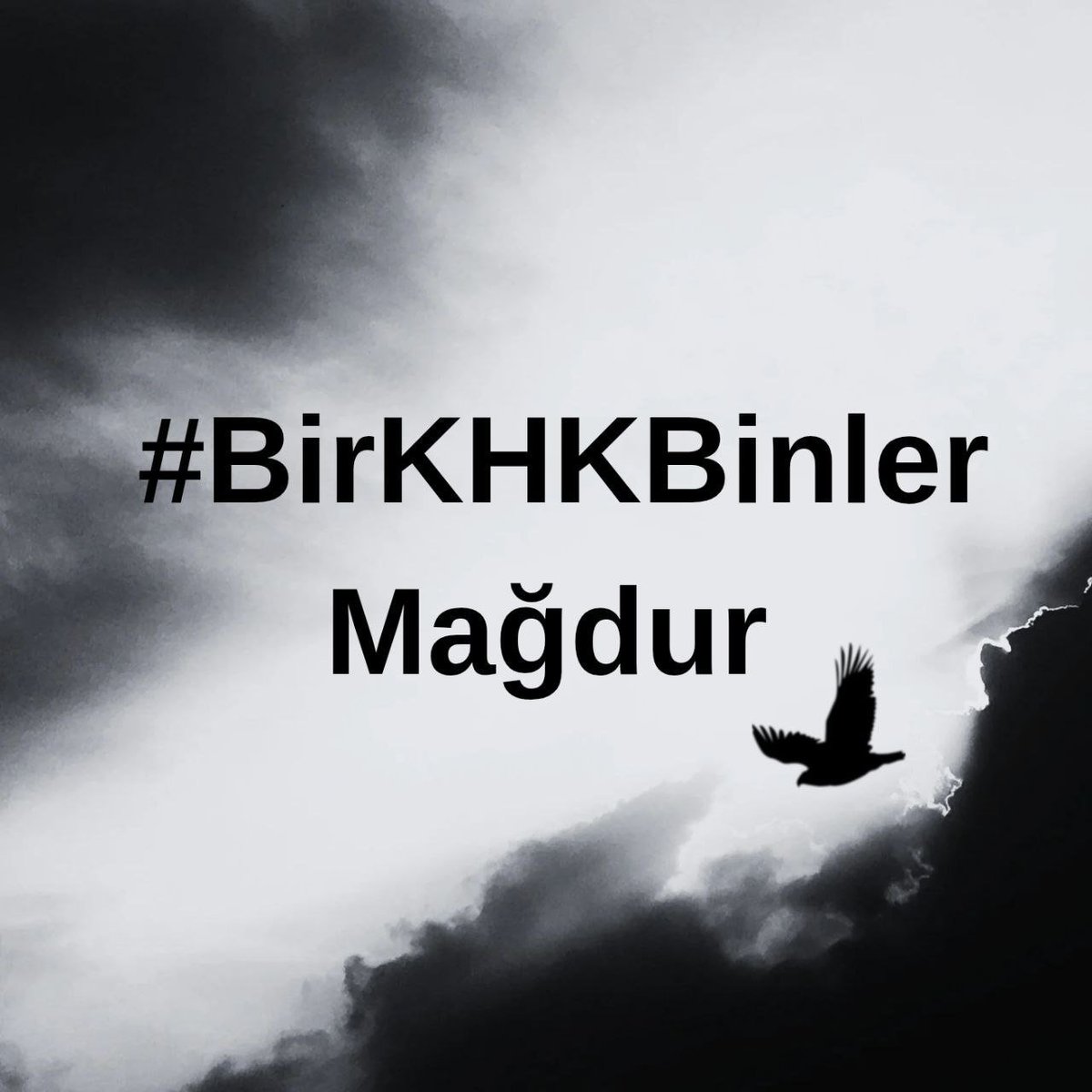 sarizarf01's tweet photo. Bazen sustuk,
Bazen sadece bekledik.
Çünkü biliyorduk:
Her kışın bir baharı,
Her gecenin bir sabahı vardır.
#KHKlıÇözümBekliyor https://t.co/vY4iiThzZz