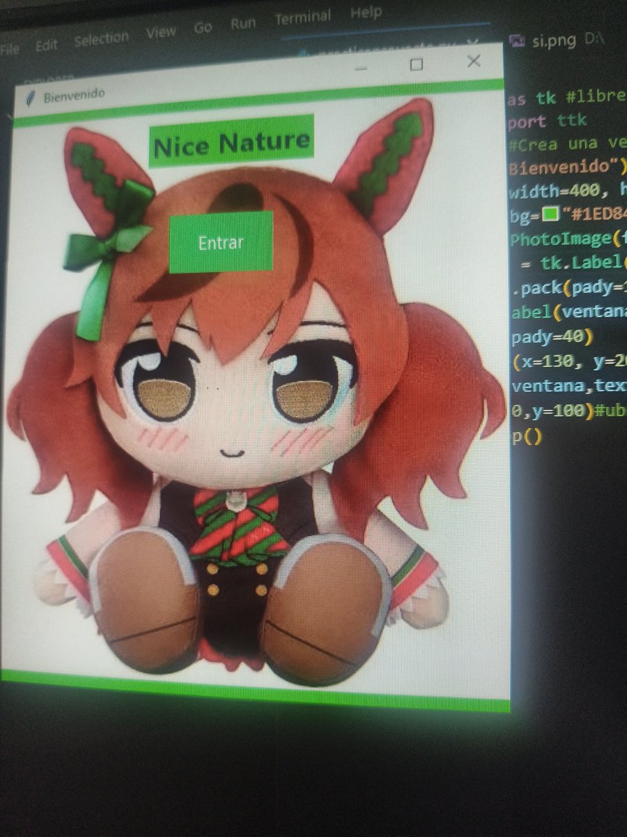 GunkoLover4000's tweet photo. pura programación 🥭 https://t.co/dqjFd2S65n