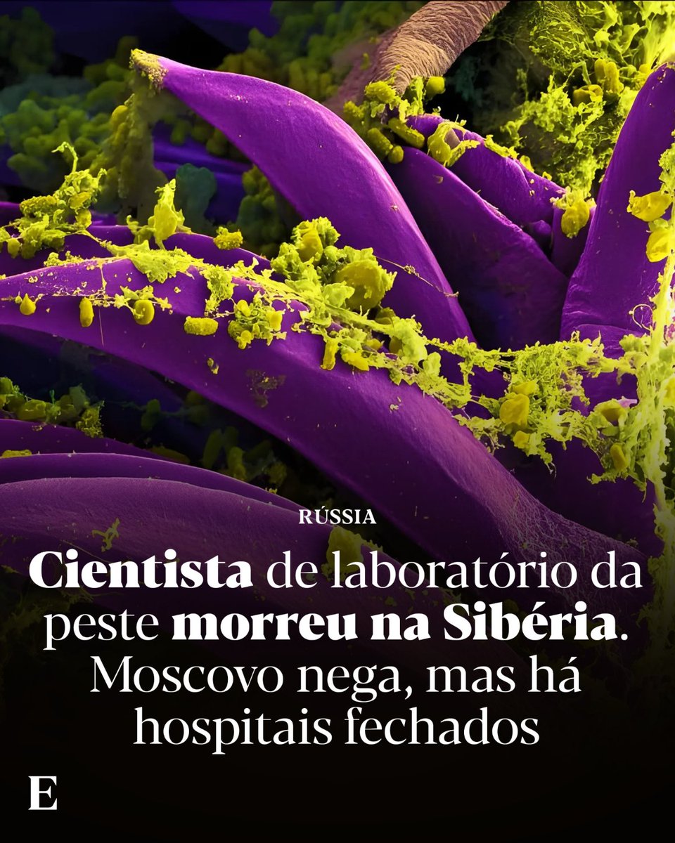 expresso's tweet photo. Mais de 60 colegas continuam fechados dentro do instituto e as ambulâncias que transportaram os contactos foram escoltadas por agentes dos serviços secretos.

Leia todos os detalhes: https://t.co/rHaRb4h1id https://t.co/1Qwz5iqsp8