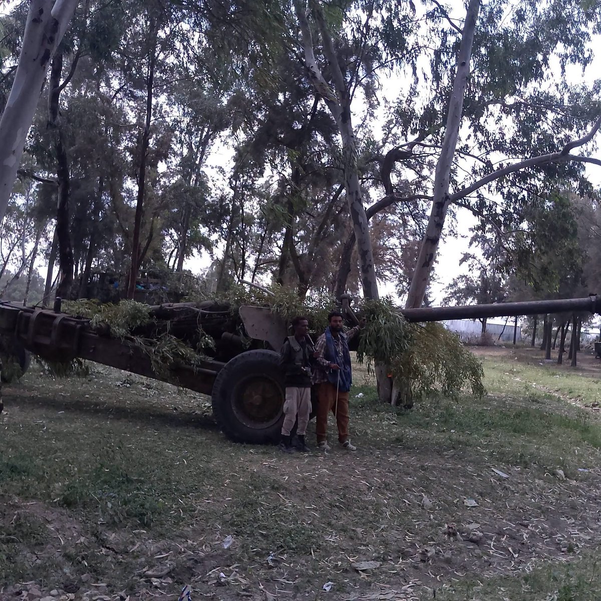 BashirHashiysf's tweet photo. Situation Update 🚨 #Tigray 

Captured ENDF artillery, now Tigray facing the other way. Wukro front, Tigray using Foliage camo against Bayraktar and Wing Loong surveillance drones. 
old  Soviet M-46 130mm. 
Victory to the Alliance for Survival Wukro
ENDF forces pushing north of Wukro have been stopped  by heavy TDF resistance.
Their advance has stopped completely. If they keep pressing forward without securing the flanks, their rear supply lines will be left wide open to TDF counter strikes.

on the land ENDF Losses North of Mekelle Evidence shows heavy equipment losses on the Mekelle to Wukro axis. Abandoned transport trucks, a Land Cruiser and multiple howitzers sit disabled.
These positions indicate disrupted logistics and artillery support as ENDF elements try to push north

reliable source indicates Ethiopian forces push north along the A2 but were stopped by tdf 40 km north of Mekelle as Tigrayan forces hold positions around Wukro. Airstrikes are reportedly