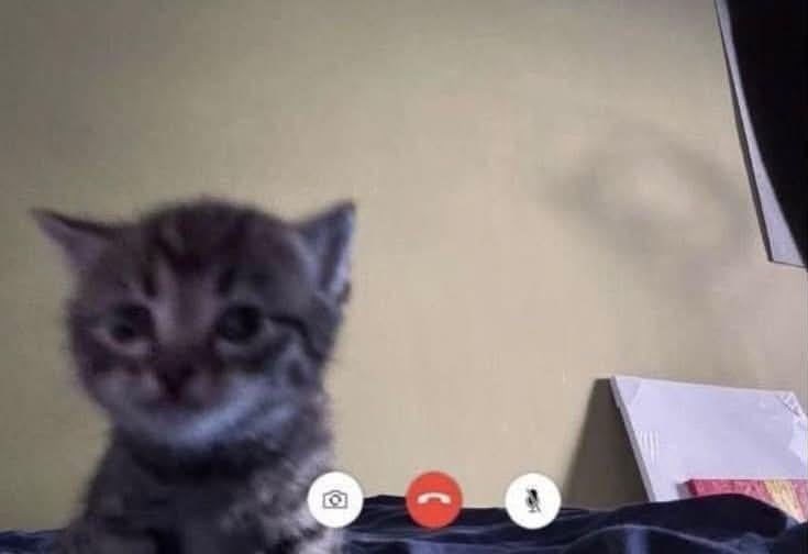 szull0's tweet photo. My anak on zoom class right after I marah him and took away his Roblox 😭 https://t.co/48N7hZKZau