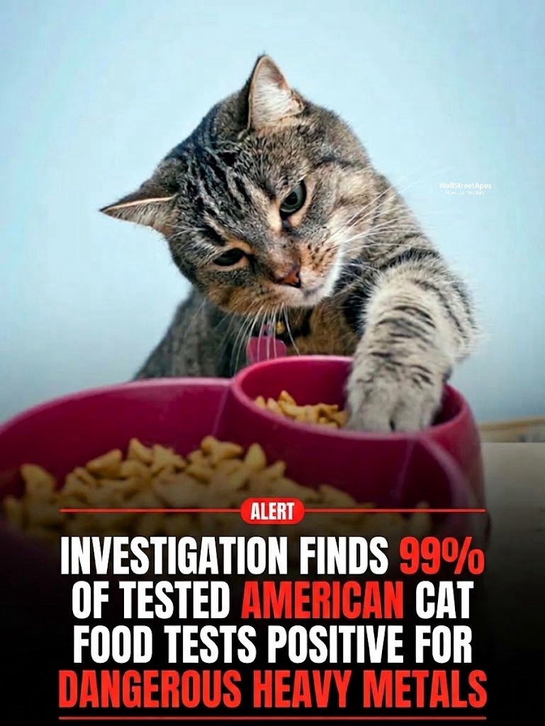 WallStreetApes's tweet photo. Even cat food in America is poison
New Lab Test Investigation into cat food sold in America tested 62 brands, covering 100 products and found:
- 99% contained lead
- 94% contained arsenic
- 96% contained cadmium
- Dry food had about 3c the lead of wet or air-dried food
- Fish and seafood formulas had about 18x the mercury of other dry foods
- Fish and seafood formulas had about 28x among wet foods only
- Nearly half of fish products ranked in the high-mercury group. No poultry product did
- Fish formulas also had about 2.5x the cadmium
- Glyphosate (weed killer) was detected in 37% of products
- The plasticizer DEHP was found in 48 of 100 products, canned and pouched products had about 5x as much as bagged products
List of brands that were tested:
• Purina (Cat Chow, Friskies, One, Pro Plan, Fancy Feast)
• Acana
• American Journey
• Applaws
• BIXBI (Liberty and Rawbble)
• Blue Buffalo (Tastefuls and Wilderness)
• Boss Cat
• Carna4
• Chicken Soup for the Soul
• Diamond Naturals
• Dr. Marty’s (Nature’s Feast)
• Fancy Feast (Purina)
• Fresh is Best
• Freshpet
• Friskies (Purina)
• Fromm
• Fussie Cat
• Go! Solutions
• Grandma Lucy’s
• Green Juju
• Hill’s Science Diet
• The Honest Kitchen
• I and Love and You
• Iams
• Instinct
• Kirkland Signature
• McLovin’s
• Merrick
• Meow Mix
• Natural & Delicious (N&D)
• Natural Pet Food Group
• Nature’s Advantage
• Nulo
• Nutrish
• Open Farm
• Optimal
• Orijen
• PawTree
• Primal
• Purpose
• Quest (Go Raw)
• Redbarn
• Reveal
• Royal Canin
• Sheba
• Smallbatch
• Smalls
• The Simple Food Project
• Solid Gold
• Special Kitty (Walmart)
• Stella & Chewy’s
• Tiki Cat
• Vital Essentials
• Wellness
• Weruva
• Whole Hearted
• Whole Life
• Ziwi Peak
Lab testing was done by The Clean Label Project, a Colorado nonprofit that tests consumer products and sells a purity certification