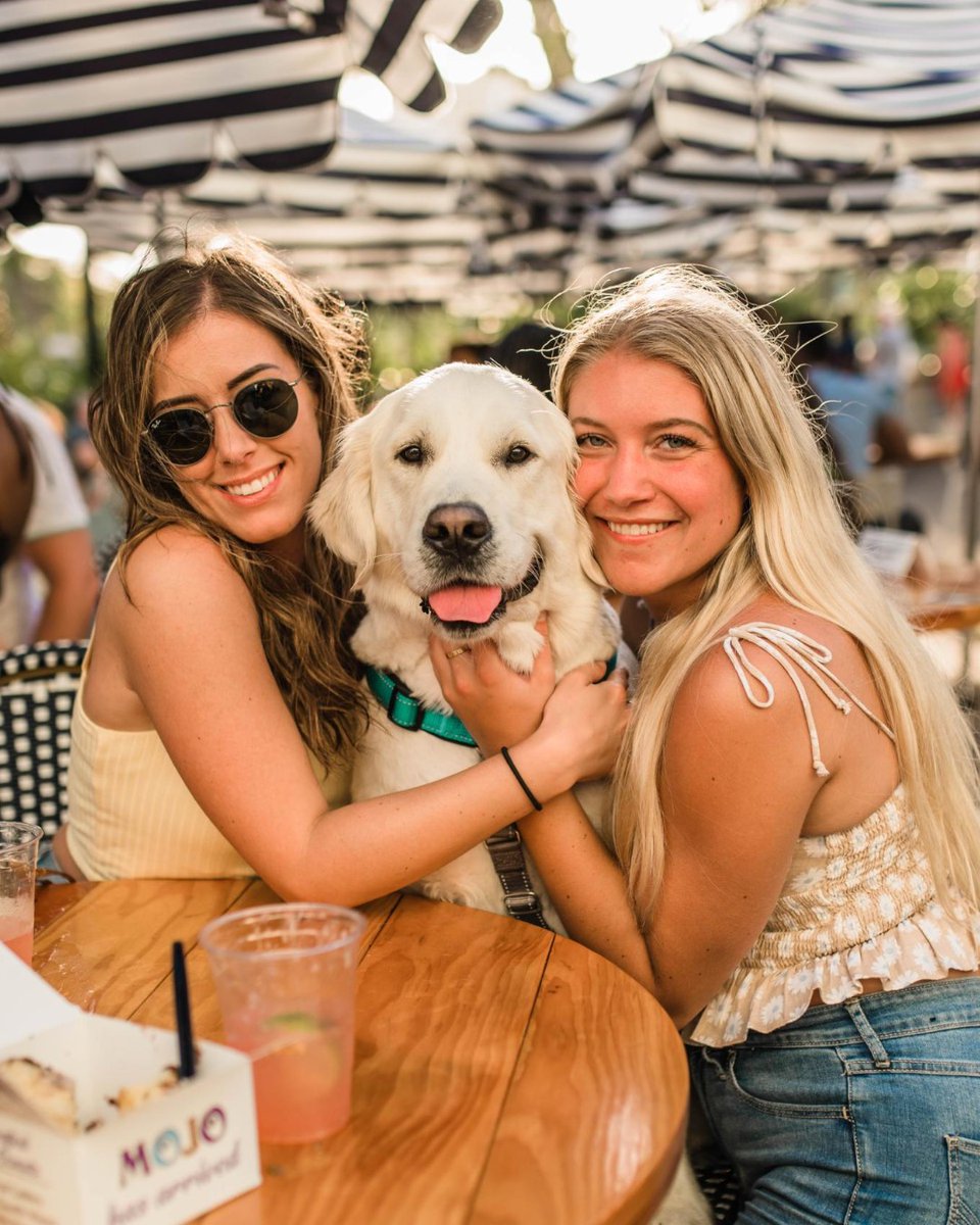 wharfftl's tweet photo. Daytime at the Wharf = instant good vibes ☀️🌊 Come through and soak it all in https://t.co/cmVmbnyUNs