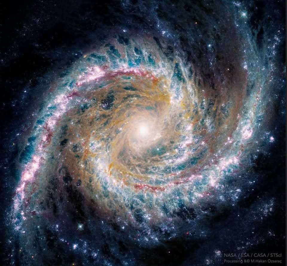 konstructivizm's tweet photo. NGC 1566 doesn’t just sit in the southern sky—it performs. About 69 million light-years away in Dorado, this nearly face-on spiral is known as the Spanish Dancer for the way its arms sweep outward in long, graceful curves, as if caught mid-turn.

At its heart, a supermassive black hole feeds on surrounding gas and dust, powering an active galactic nucleus that shines across the spectrum. The arms themselves are crowded with newborn stars, glowing clusters, and lanes of dust that trace the galaxy’s slow rotation.

This composite draws on both the James Webb Space Telescope and Hubble. Webb’s infrared view peers through the dust to reveal warm regions where stars are still forming, while Hubble picks out the sharp blue clusters and fine structure of the arms in visible light. Side by side, the two telescopes show a galaxy in motion: gas collapsing into stars, arms winding around a brilliant core, and a black hole quietly shaping the light we see.

Image credit: NASA / ESA / CSA / STScI, Dr. Mehmet Hakan Özsaraç
