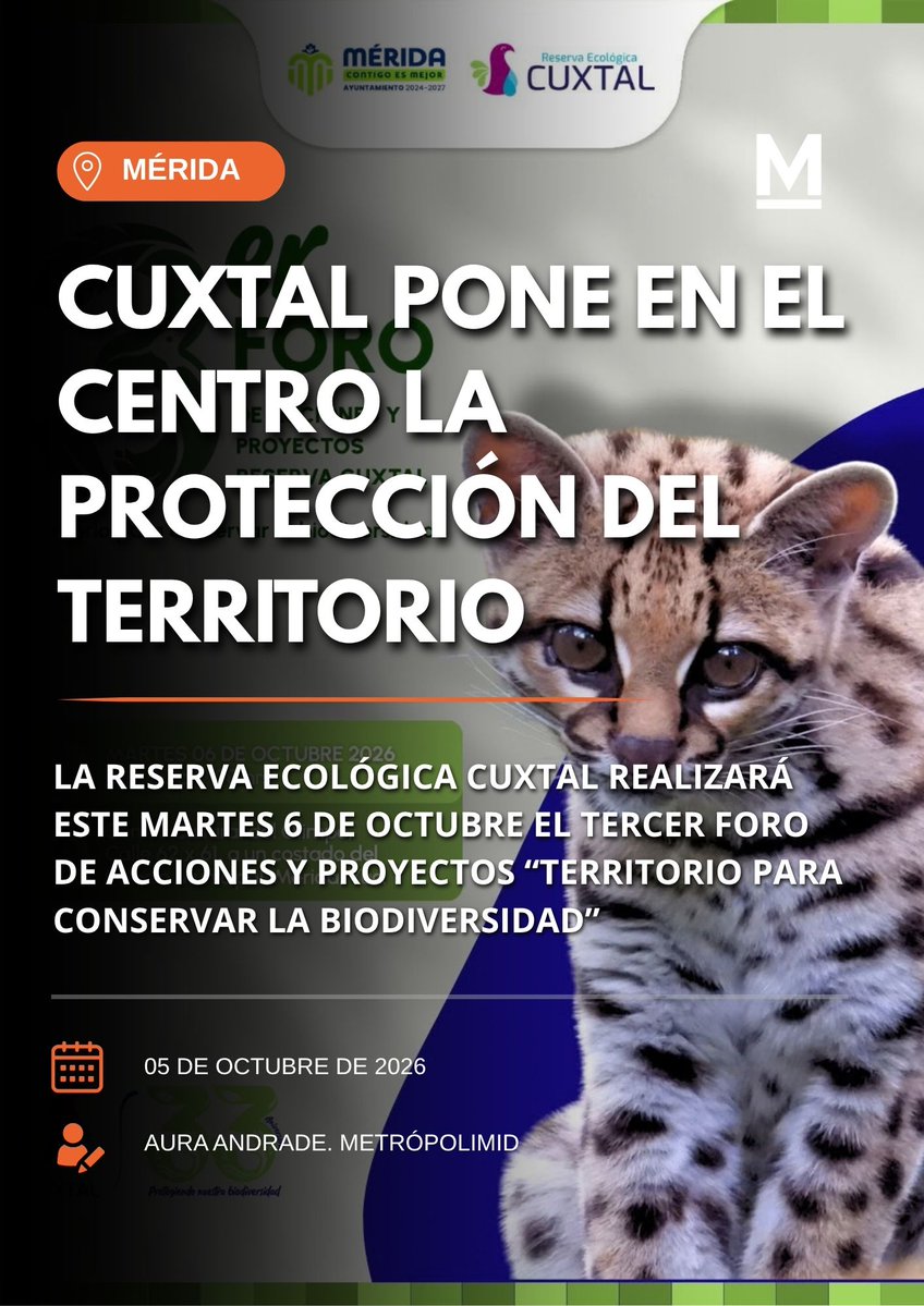 MetropoliMid's tweet photo. Cuxtal pone en el centro la protección del territorio

La Reserva Ecológica Cuxtal realizará este martes 6 de octubre el tercer Foro de Acciones y Proyectos “Territorio para conservar la biodiversidad”

#Noticias #Mérida #MedioAmbiente #ProtecciónAmbiental #Cuxtal #MetrópoliMid https://t.co/CClJ4Rxtfk