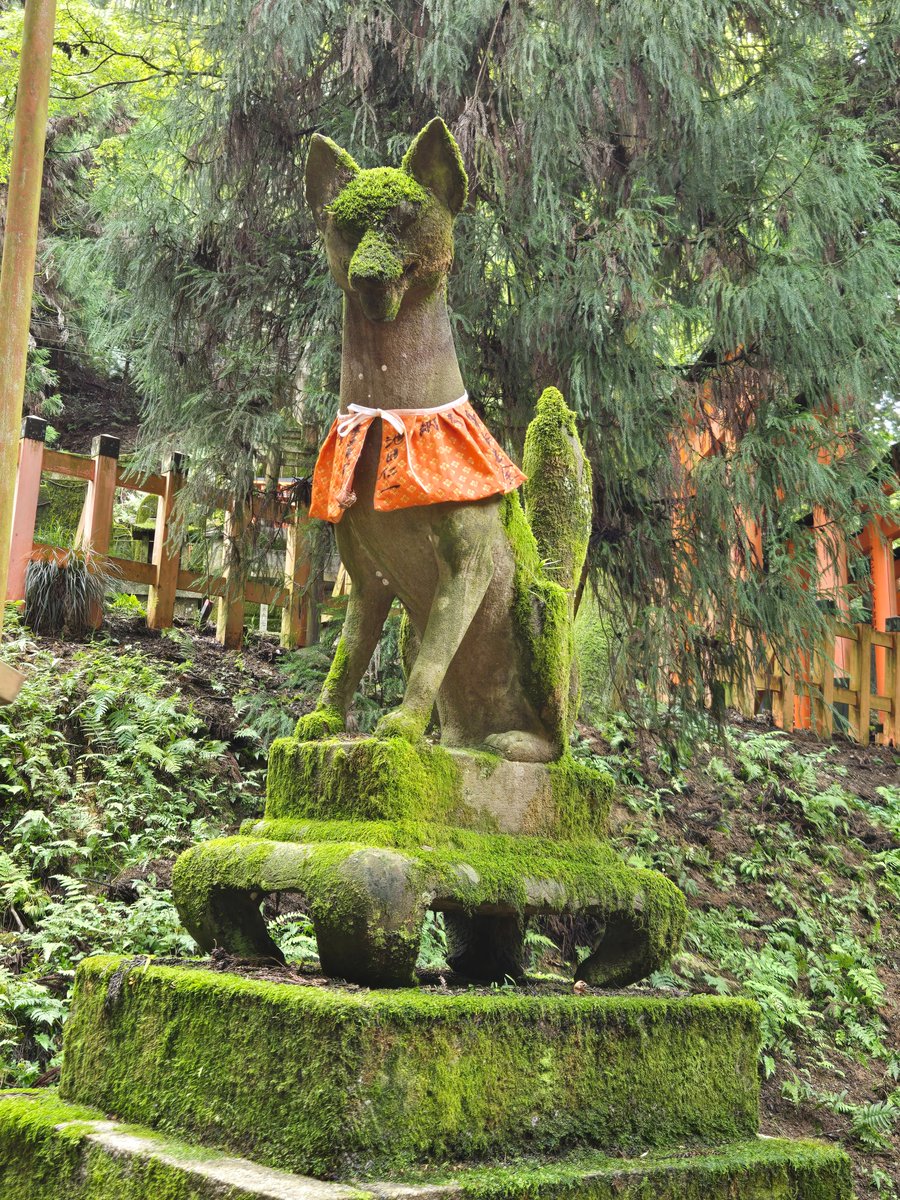 StrayFrey's tweet photo. I am so behind on posting. I'm back home though! My cold/flu is mostly gone, and I will stream the end of The Wandering Village today (assuming end game isn't forever long).

Here's some pictures from day 1 of the trip, which was Fushimi Inari. https://t.co/ZVTNqsv7T2